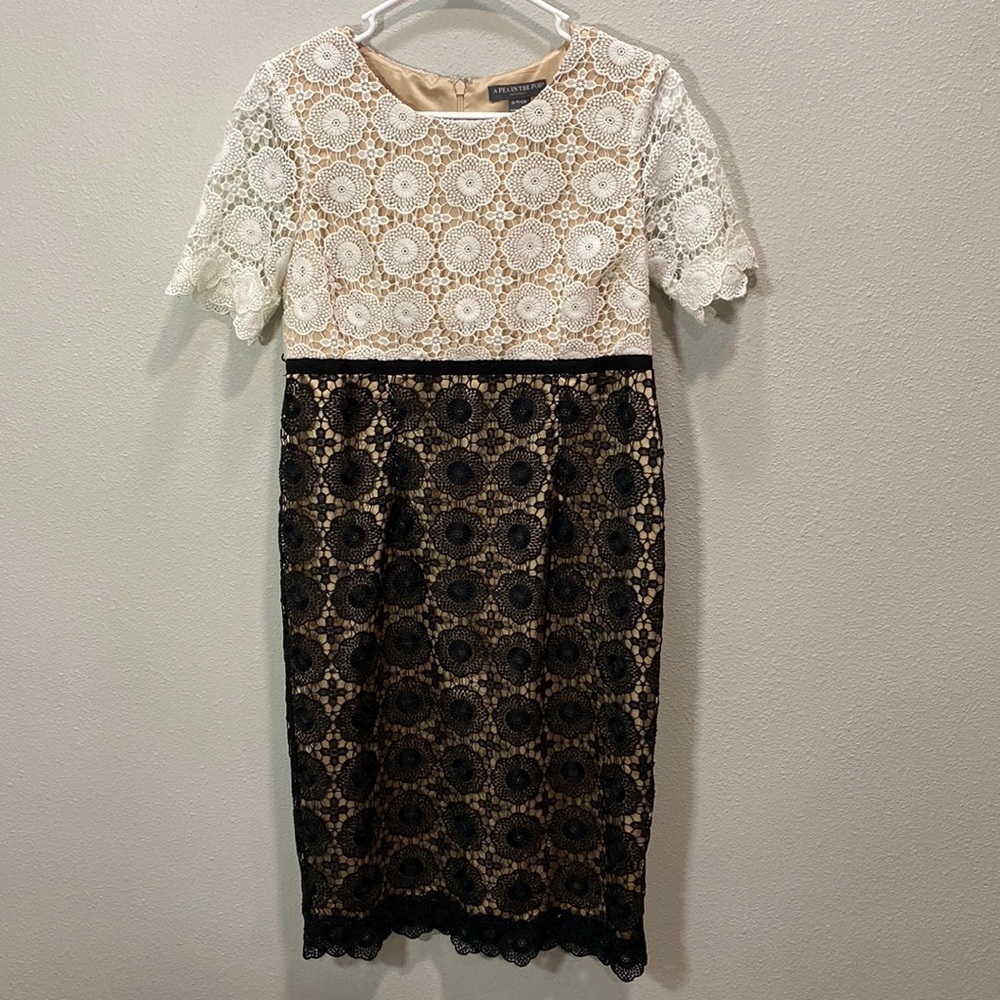 A pea in The Pod lace dress black and white